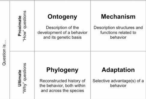 An Introduction to Behavioural ecology - Behavioural Ecology & Conservation
